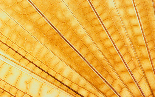 474599 (a): :1920x1200